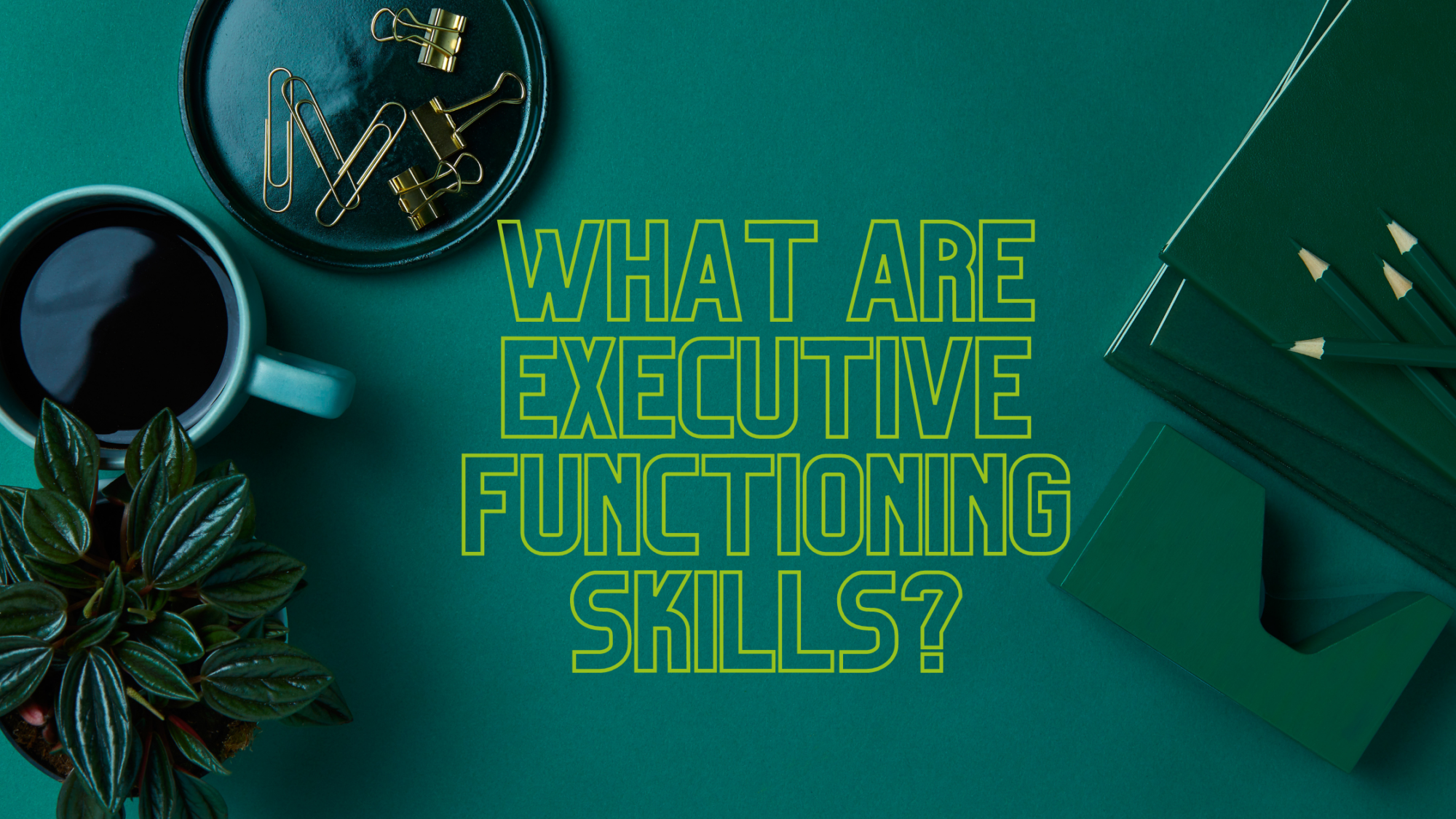 Title Banner: What are executive functioning skills